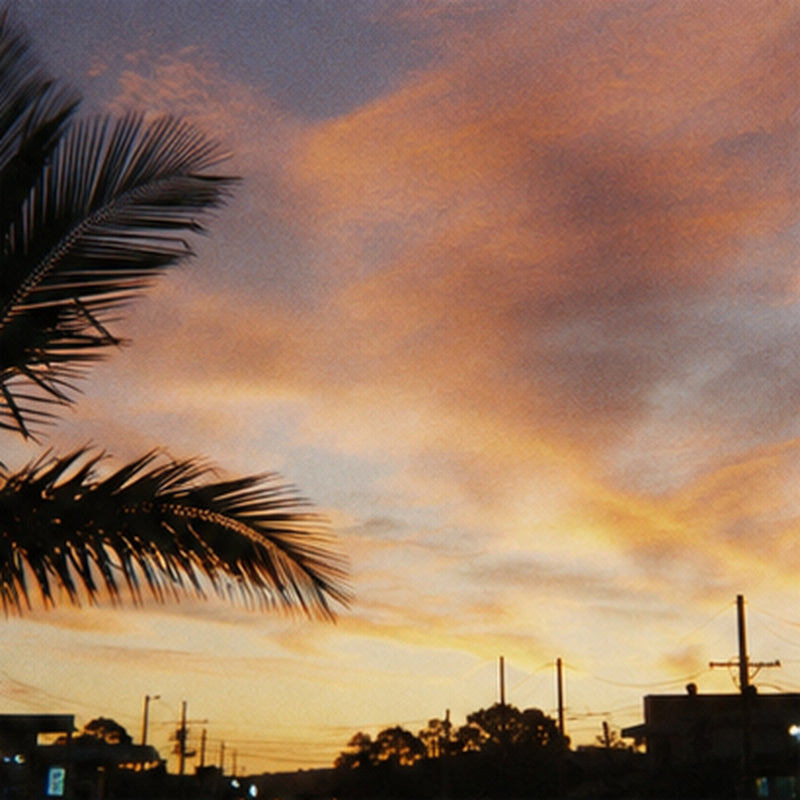 Palm tree against an orange and pink Australian sunset sky, warm digicam style photo